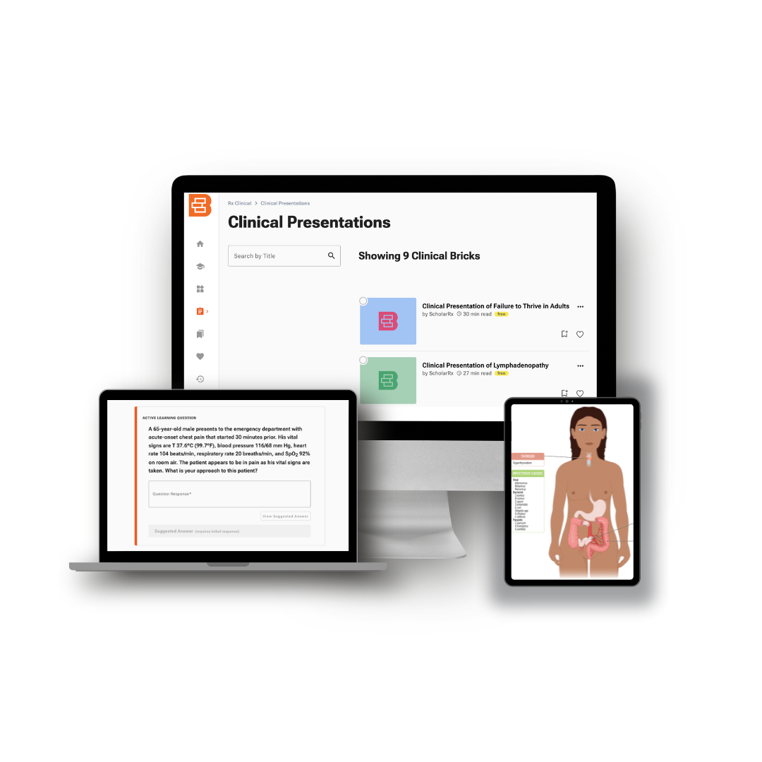 Modern Neutral Digital Product Computer Mockup Promotional Instagram Post (1)